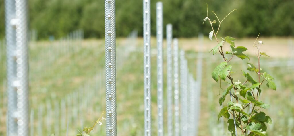 Hadley vineposts
